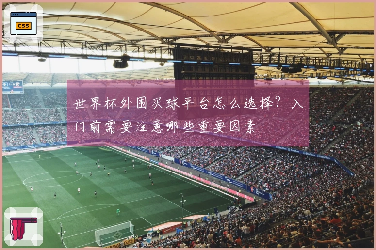 世界杯外围买球平台怎么选择？入门前需要注意哪些重要因素