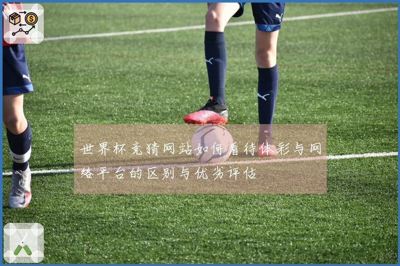 世界杯竞猜网站如何看待体彩与网络平台的区别与优劣评估