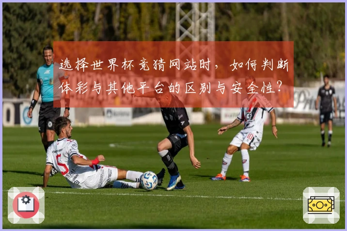 选择世界杯竞猜网站时,如何判断体彩与其他平台的区别与安全性?