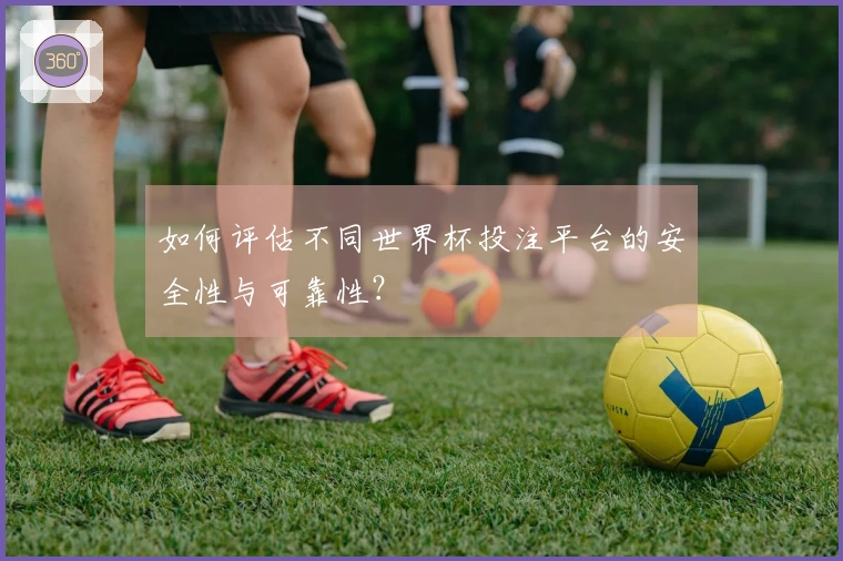 如何评估不同世界杯投注平台的安全性与可靠性？