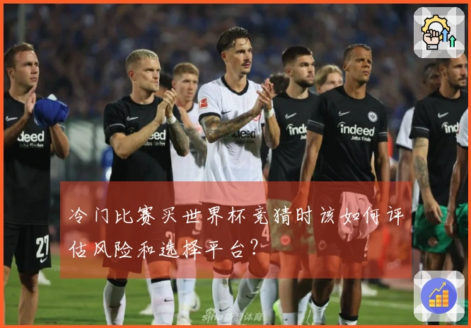 冷门比赛买世界杯竞猜时该如何评估风险和选择平台？