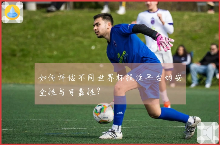 如何评估不同世界杯投注平台的安全性与可靠性？